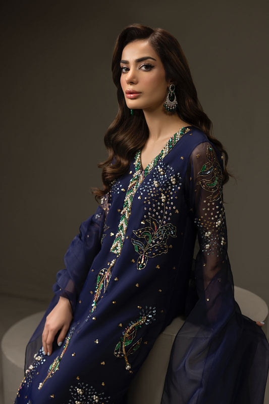 Blue Organza Tasawur | RTW