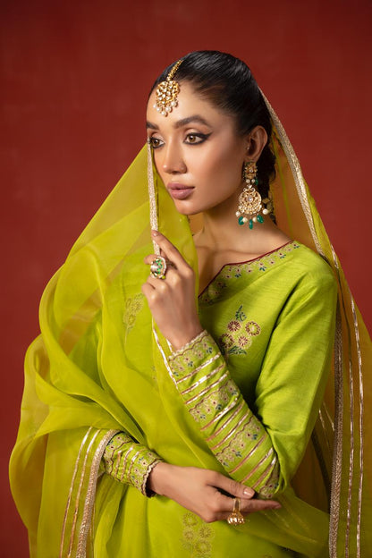 Parrot Green Traditional | RTW