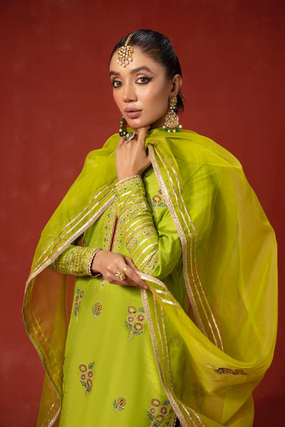 Parrot Green Traditional | RTW