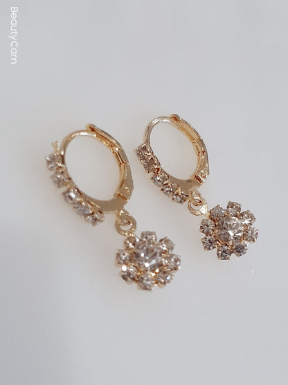 Gold Earrings or Nose Rings Zircon