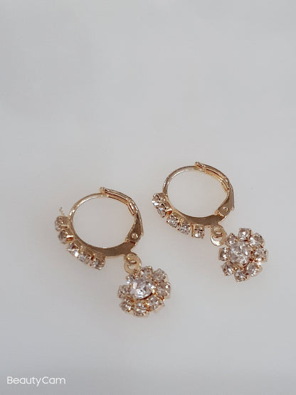 Gold Earrings or Nose Rings Zircon