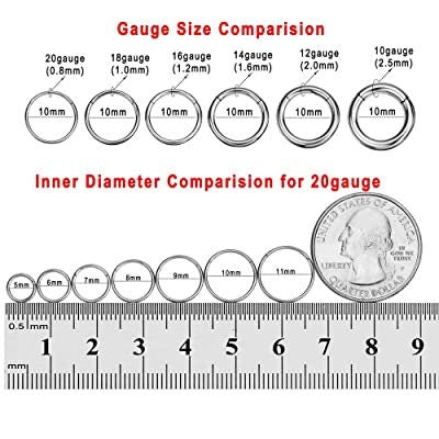 18g x 12mm Hinged Clicker Nose Hoop Segment Ring Surgical Steel Gauges Sleeper Earrings Piercing